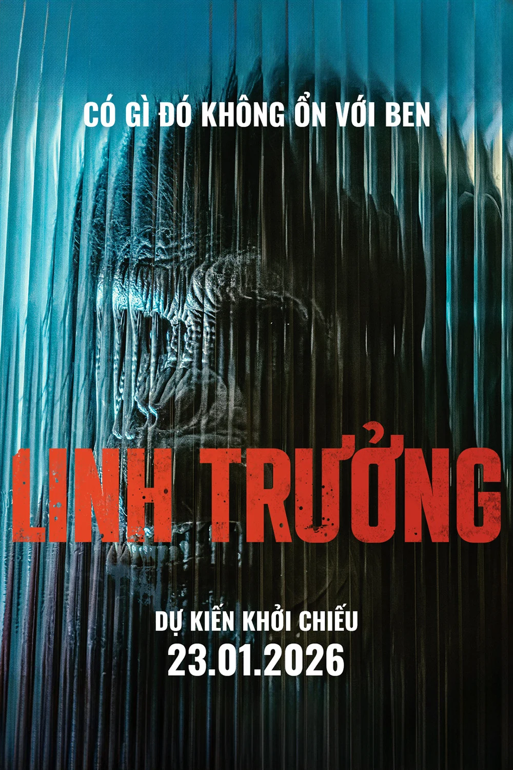Linh Trưởng
