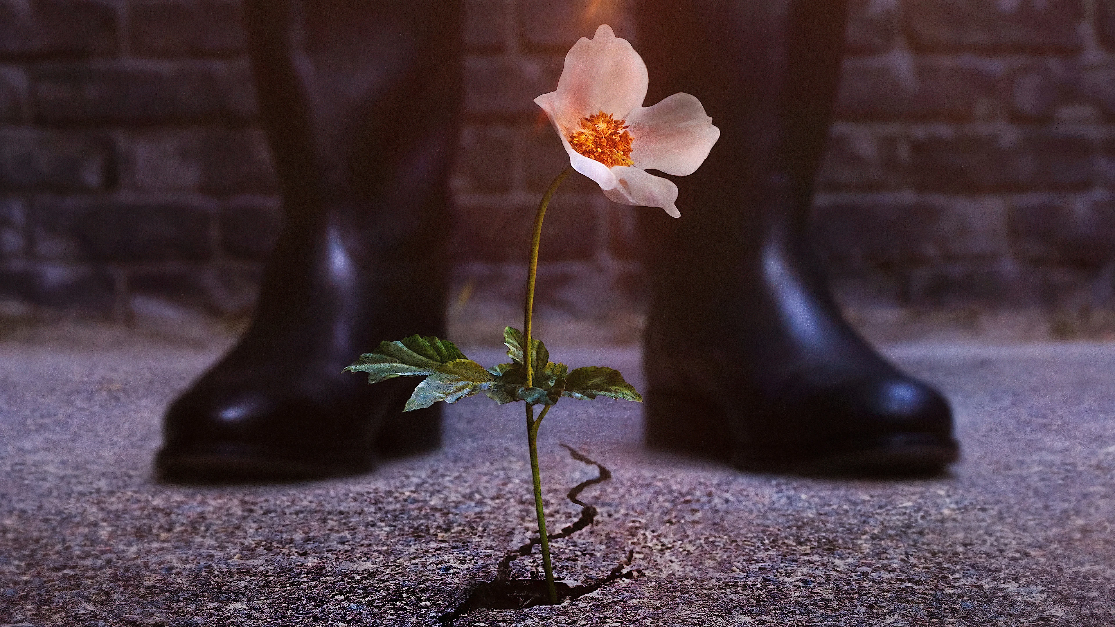 Thế Giới Của Phát Xít (Phần 4)